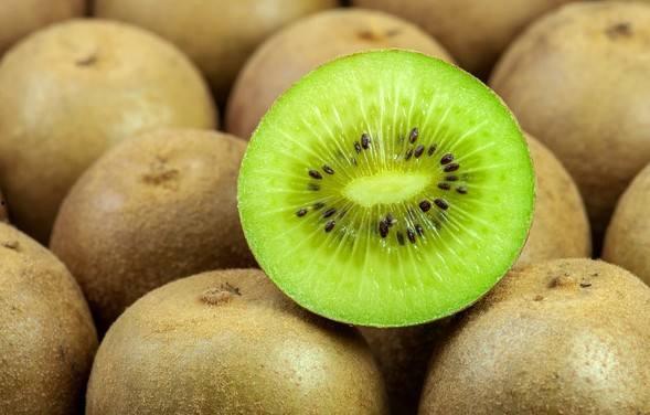 猕猴桃爆料新闻视频播放,揭秘猕猴桃产业最新动态